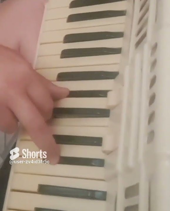 SHAMAN ' I am - Russian' on accordion