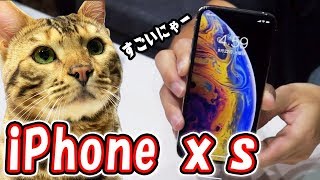 【話題】iPhone XS来ました！！早速猫と一緒に開封動画とレビュー