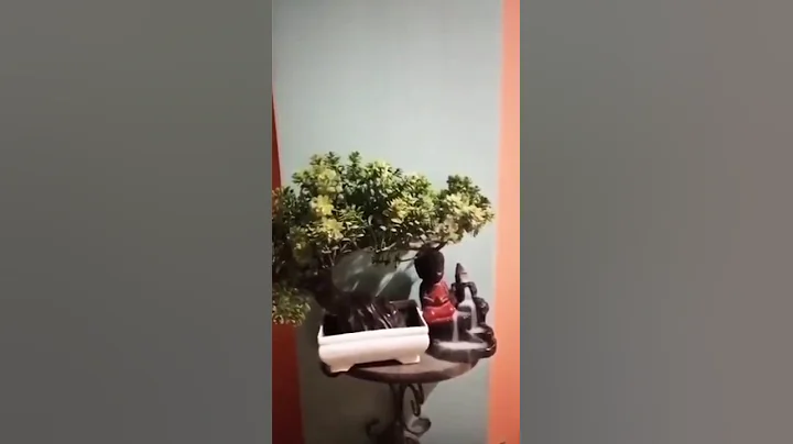 buddha monk backflow incense burner #home decore #best finds