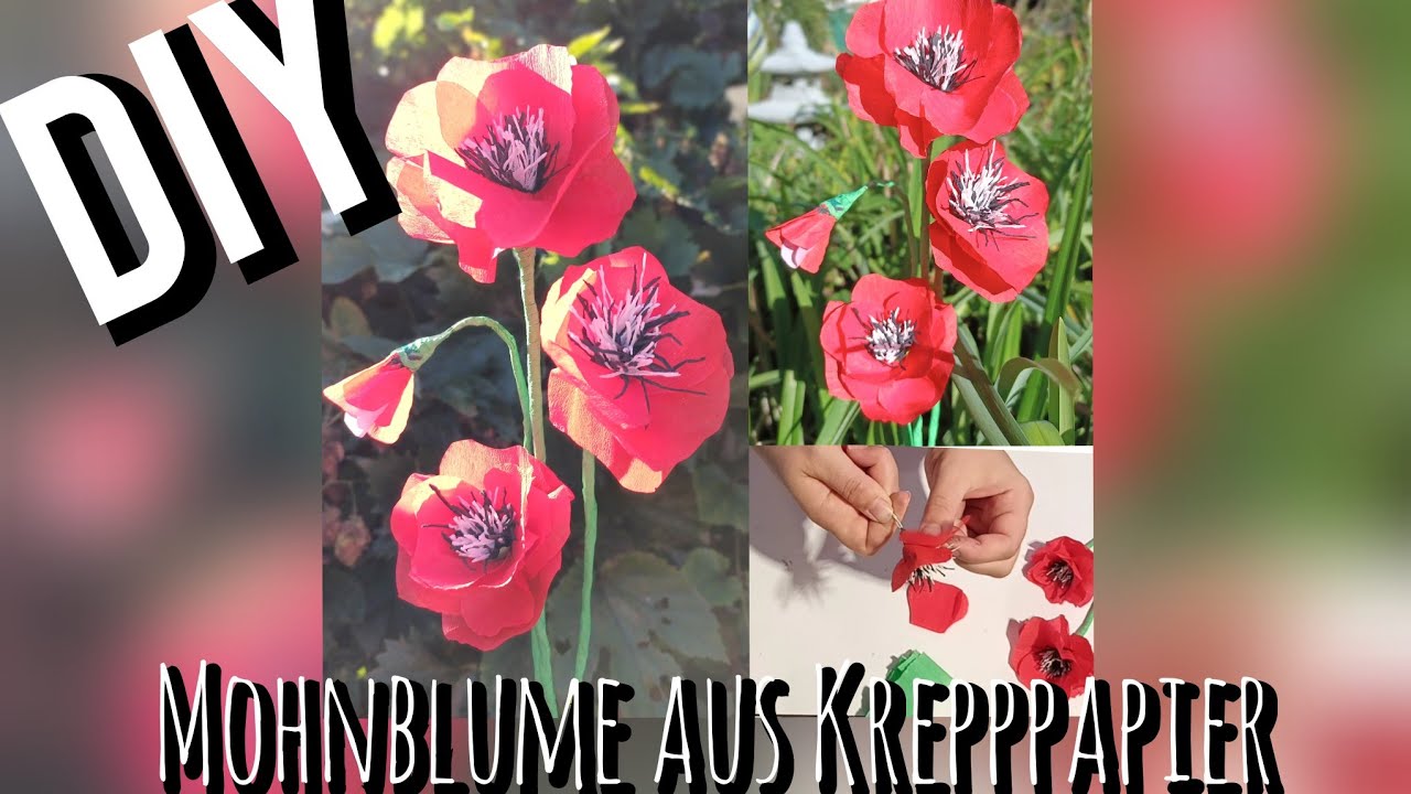 Diy mohnblume basteln aus krepppapier making poppies from crepe paper