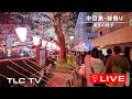 【LIVE】中目黒 桜まつり 2026　～目黒川桜中継～　Japan　cherry blossoms