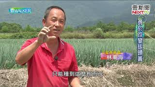 壹Walker-第263集 part1 勇於改變拔頭籌