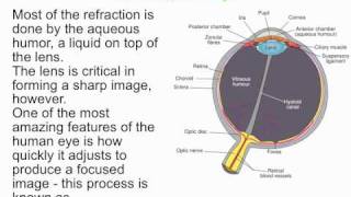 PY106 pre-class video for session 34 - The human eye and the camera