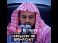 Шейх Тарифи — Поведение во время смут.