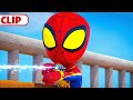 Spin and ghost spider turn invisible   marvels spidey and his amazing friends  disneyjunior