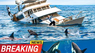 Actual Footage of FIve Horrifying  attacks by "Killer Whales" Orcas sinking boats