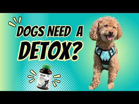 The Hidden Toxins Your Dog Faces Every Spring👀