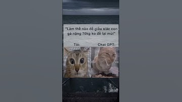 Chat GPT : m lấy đâu ra con gà 70kg  ? #memes #meme #giaitri #funny
