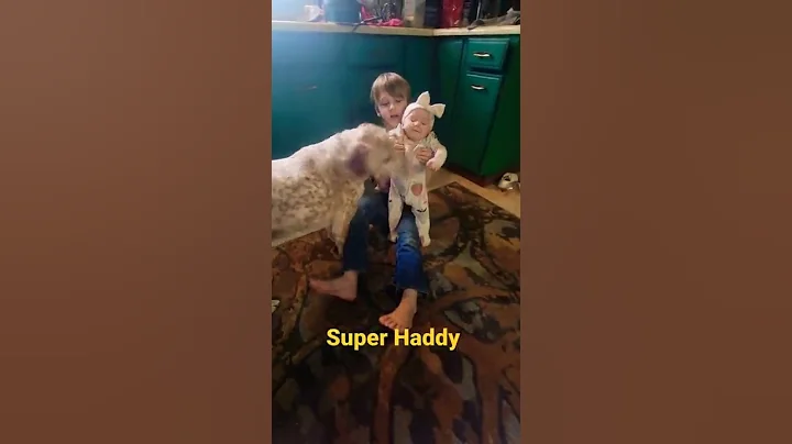 super Haddy