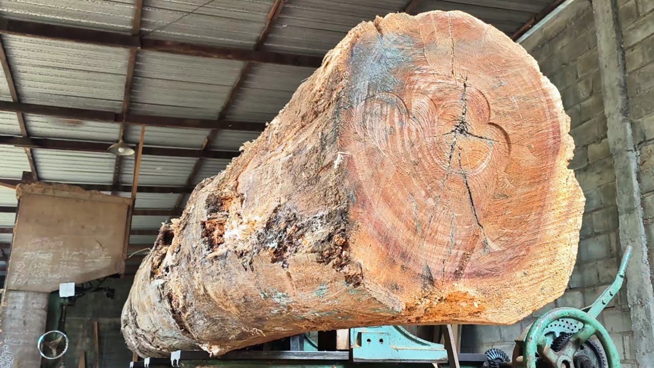 thrilling sawing of dangerous giant logs at the sawmill - YouTube