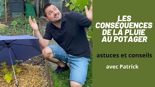 ALERTE: les 6 conséquences de la PLUIE au POTAGER ?! trucs et astuces, pour éviter le pire.