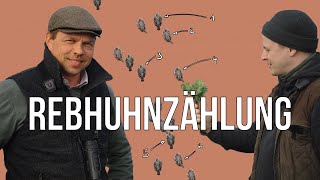 Freunde der Jagd  Folge 20  Rebhuhnzählung mit Paul im Niederwildtestrevier #artenschutz #rebhuhn