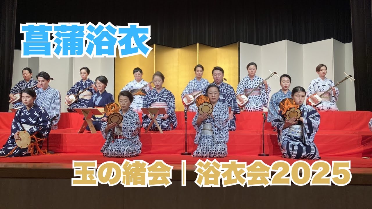 菖蒲浴衣250830 #長唄 #三味線 #伝統芸能 #着物 #浴衣 #kimono