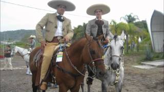 sementales 2012