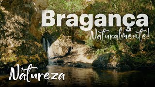 Natureza | Bragança. Naturalmente! | Portugal | VisitBragança