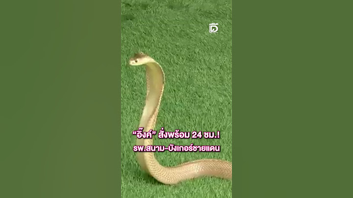 "อิ๊งค์" สั่งพร้อม 24 ชม.! รพ.สนาม-บังเกอร์ชายแดน
