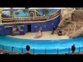 SeaWorld Orlando - Clyde and Seamore Take Pirate Island - Complete/Full video