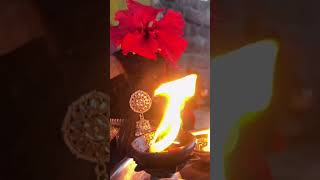 o kali MAA tori aarti  #shots #viralvideos #viral #kali#kalimaa #shorts #short #trending #ytshorts