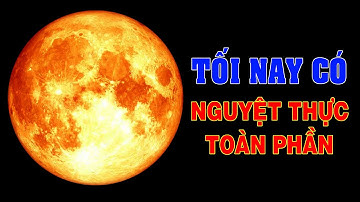 Tối nay có Nguyệt Thực toàn phần cuối cùng của năm xuất hiện | Top thú vị|