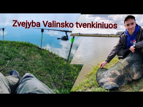 Video: Kaip žvejoti Tvenkinyje