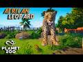 African Leopard Habitat Build! | The Apex Reserve | Planet Zoo