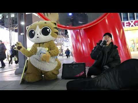 JHKTV] shin chon special <strong>cat</strong> <strong>no</strong> you are my love 신촌 명물고양이 안돼요 그대는 내사랑