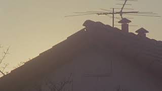 Evening Perturbation - 16mm Film Final - Empire II by Jon Hassell