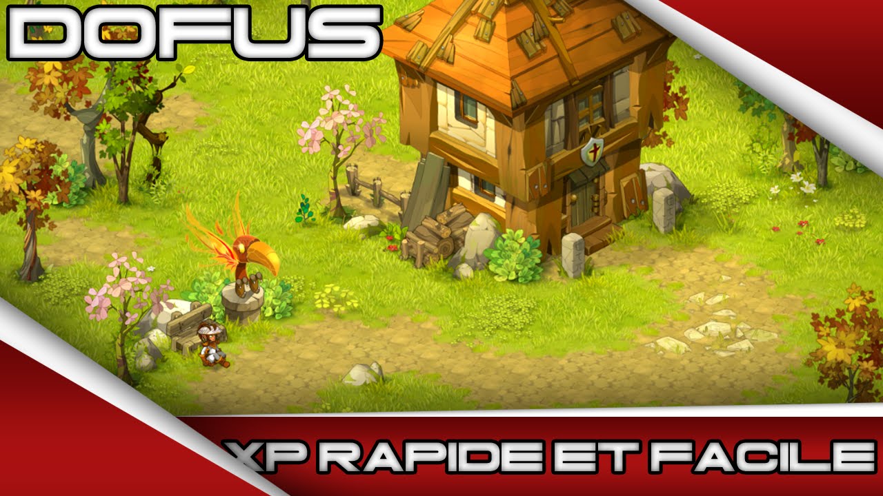 Dofus xp facilement et rapidement en Duo et Solo - YouTube