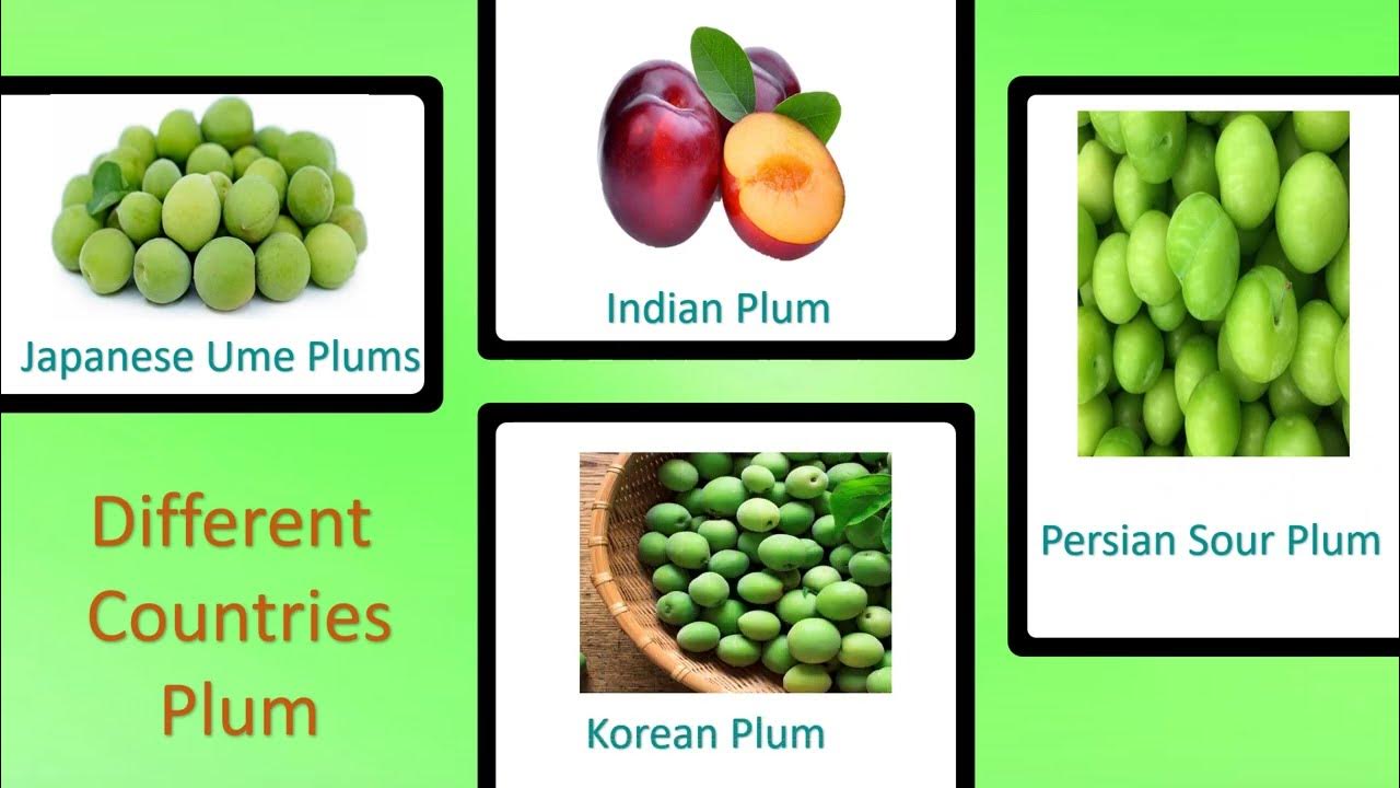 Fruits List Of Fruits Fruits Name In English Fruits For Kids fruits-list-of-fruits-fruits-name-in-english-fruits-for-kids