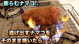 逃げ出すナマコを焼いたら時限爆弾になった件