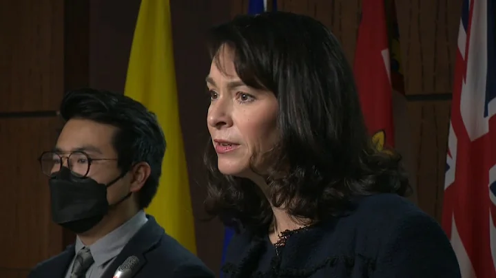 NDP calls for diplomatic boycott of G20 activities...