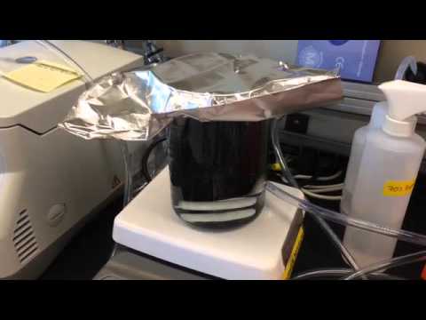 Plate Cleaning