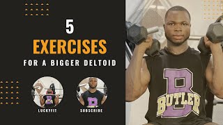 Top 5 workouts for a bigger Deltoid #viral #shoulderworkout