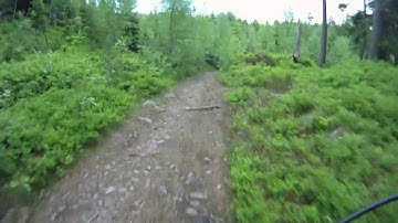 Single track MTB in Oslo