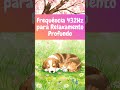 FREQUÊNCIA 432Hz PODEROSA ✨ Relaxamento profundo e sono imediato 💤 #432hz #paz