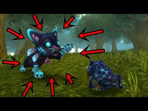 PET BATTLE WEEK - Also talking to chat - PET BATTLE WEEK - Also talking to chat
