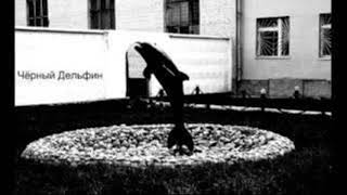 Chorni Delfin - Чёрный Дельфин