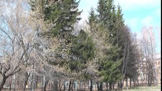 Футаж Академгородок Весна Май 2011   001305