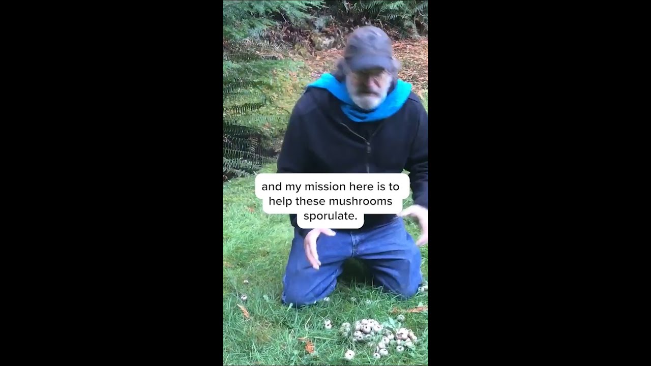 Spore Liberation Front