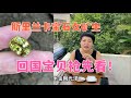 【斯里兰卡女矿主】宝石近期将回国，抢先看！