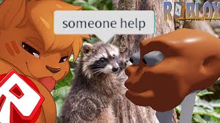Roblox Schizoposting The Folley Of Man