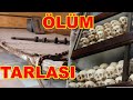 YAZIKLAR OLSUN! Kamboçya ve Diğer Asya Ülkelerinin Korkunç Tarihi! /152