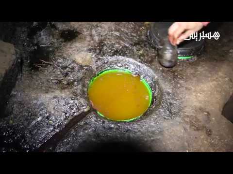 زيت الزيتون بمنطقة ازيلال