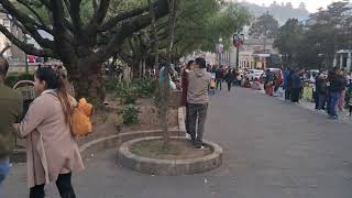 Easter processions have started...celebrations almost daily....LOVE THIS !!!