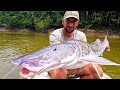 The Worlds MOST AGGRESSIVE CATFISH {Catch Clean Cook} Amazon Tiger Cat
