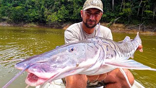 The Worlds MOST AGGRESSIVE CATFISH {Catch Clean Cook} Amazon Tiger Cat