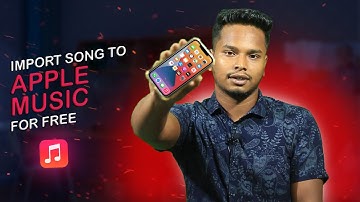 How to transfer music to iPhone | Apple Music | Transfer music to iTunes | 3utools