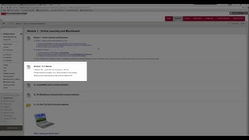 Blackboard Basics course layout