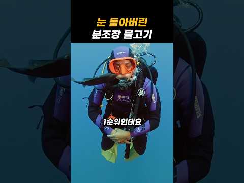 눈 돌아버린 분조장 물고기 thumbnail