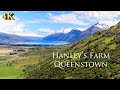 Hanley's Farm Queenstown 4K Feb 2021 | Queenstown New Zealand Walking Tour 4K | New Zealand Travel